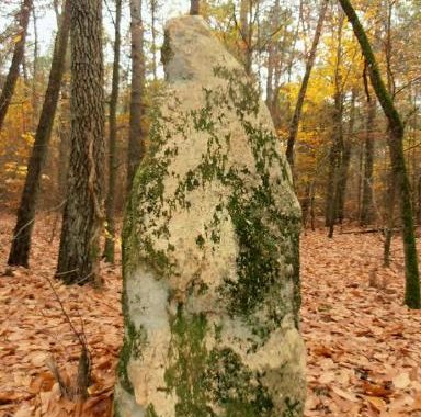France/MATROI-Alignement dit les Trois Chiens