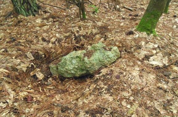 France/MATROI-Alignement dit les Trois Chiens