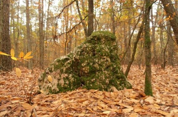France/MATROI-Alignement dit les Trois Chiens